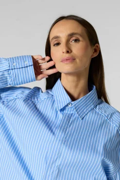 Chemise mixte en popeline Bleu céleste rayé Duffy stripe