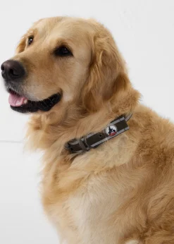 Collier pour chien Army Pancho