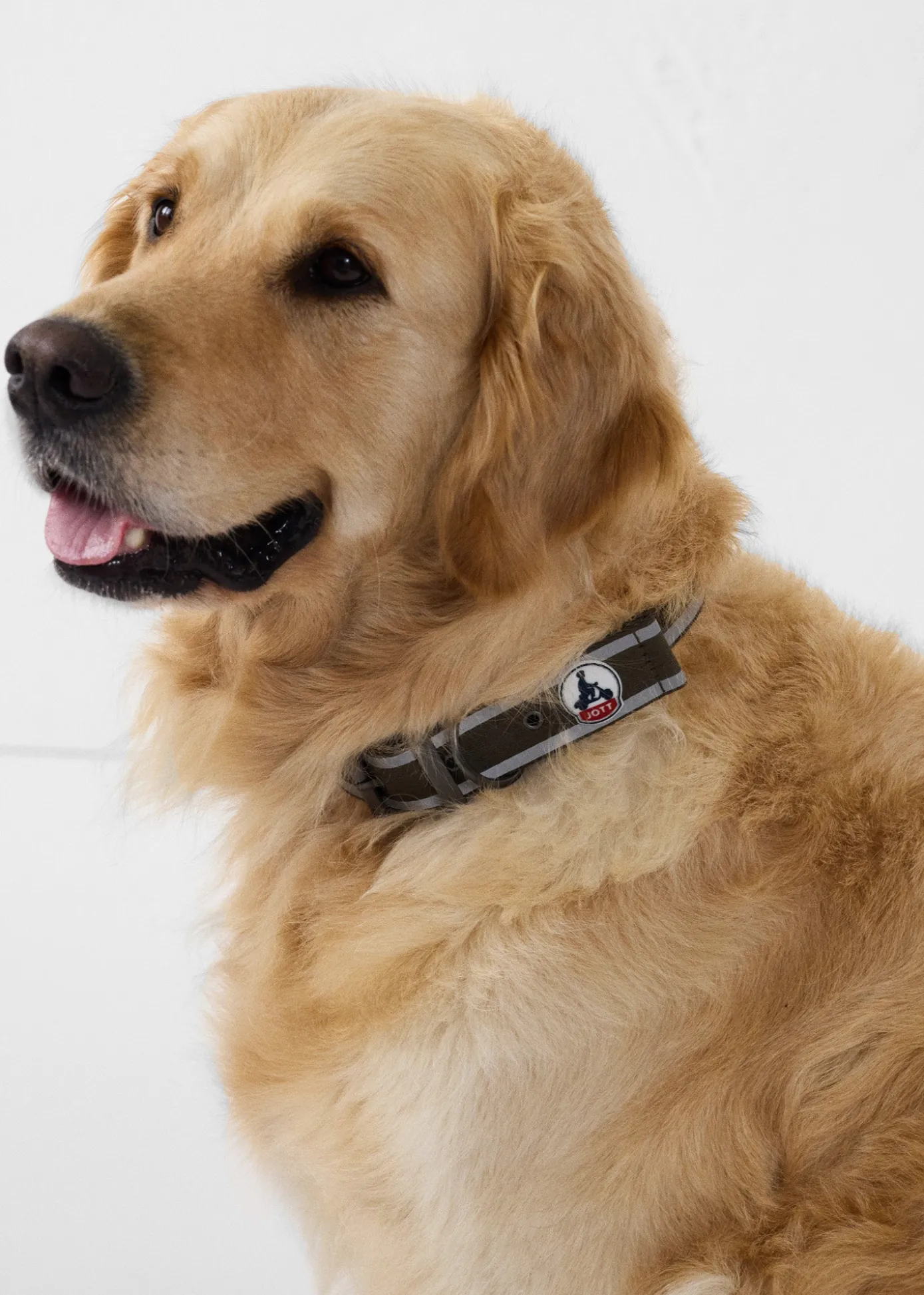 Collier pour chien Army Pancho