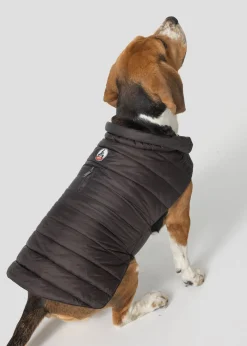 Doudoune chien Café noir Cutie