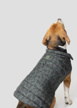 Doudoune pour chien Army foncé léopard Cutie print