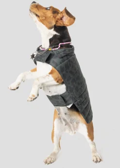 Doudoune pour chien Army foncé léopard Cutie print