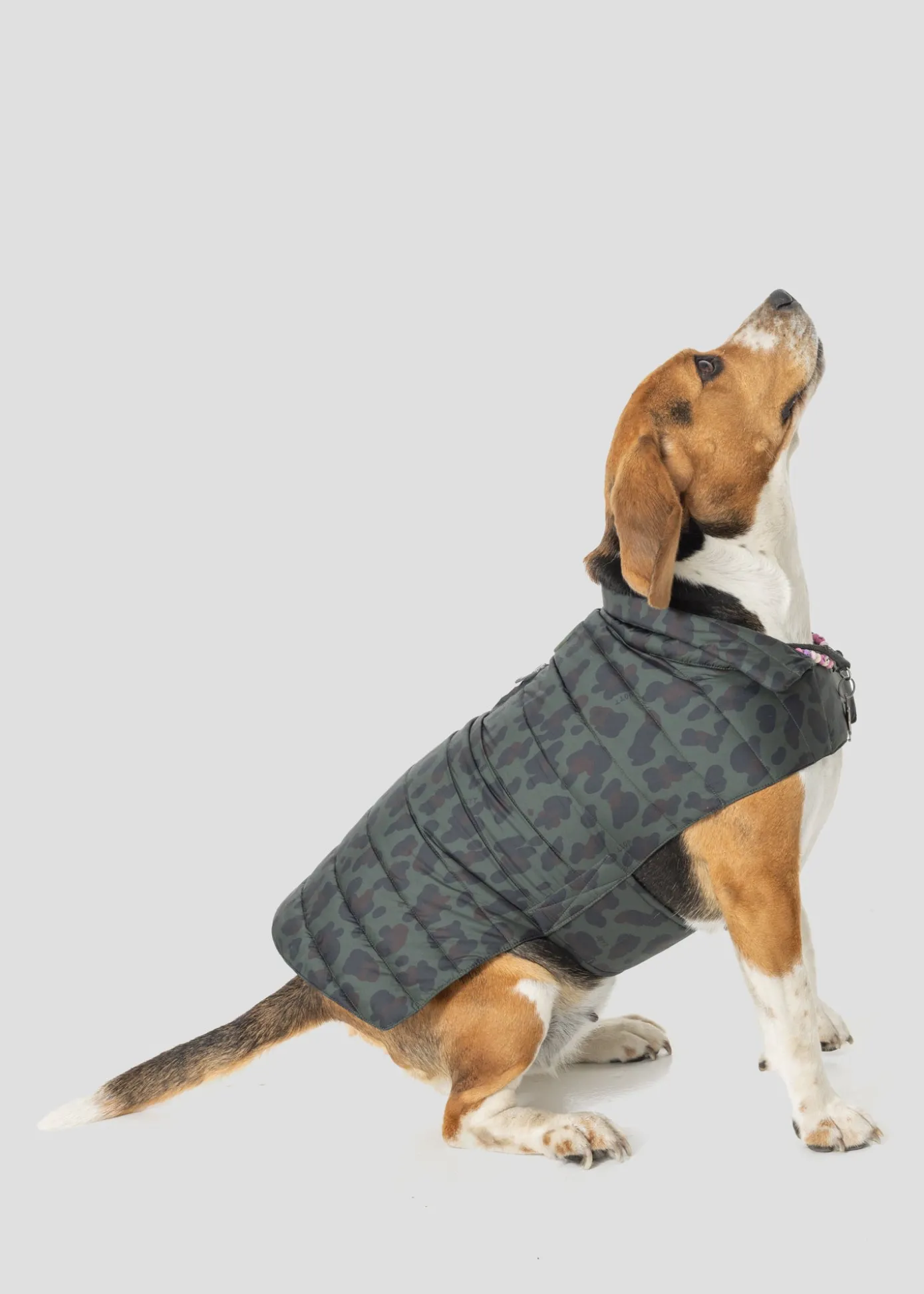 Doudoune pour chien Army foncé léopard Cutie print