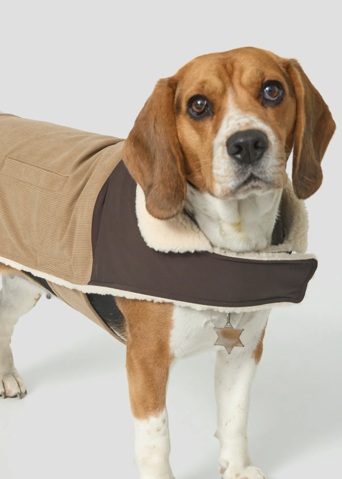 Doudoune pour chien Beige fumé/Café noir Milou