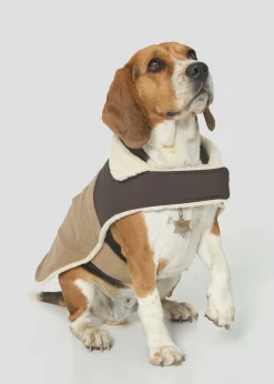Doudoune pour chien Beige fumé/Café noir Milou