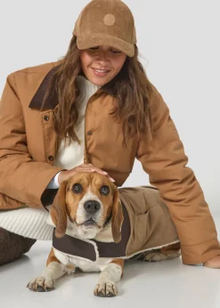 Doudoune pour chien Beige fumé/Café noir Milou