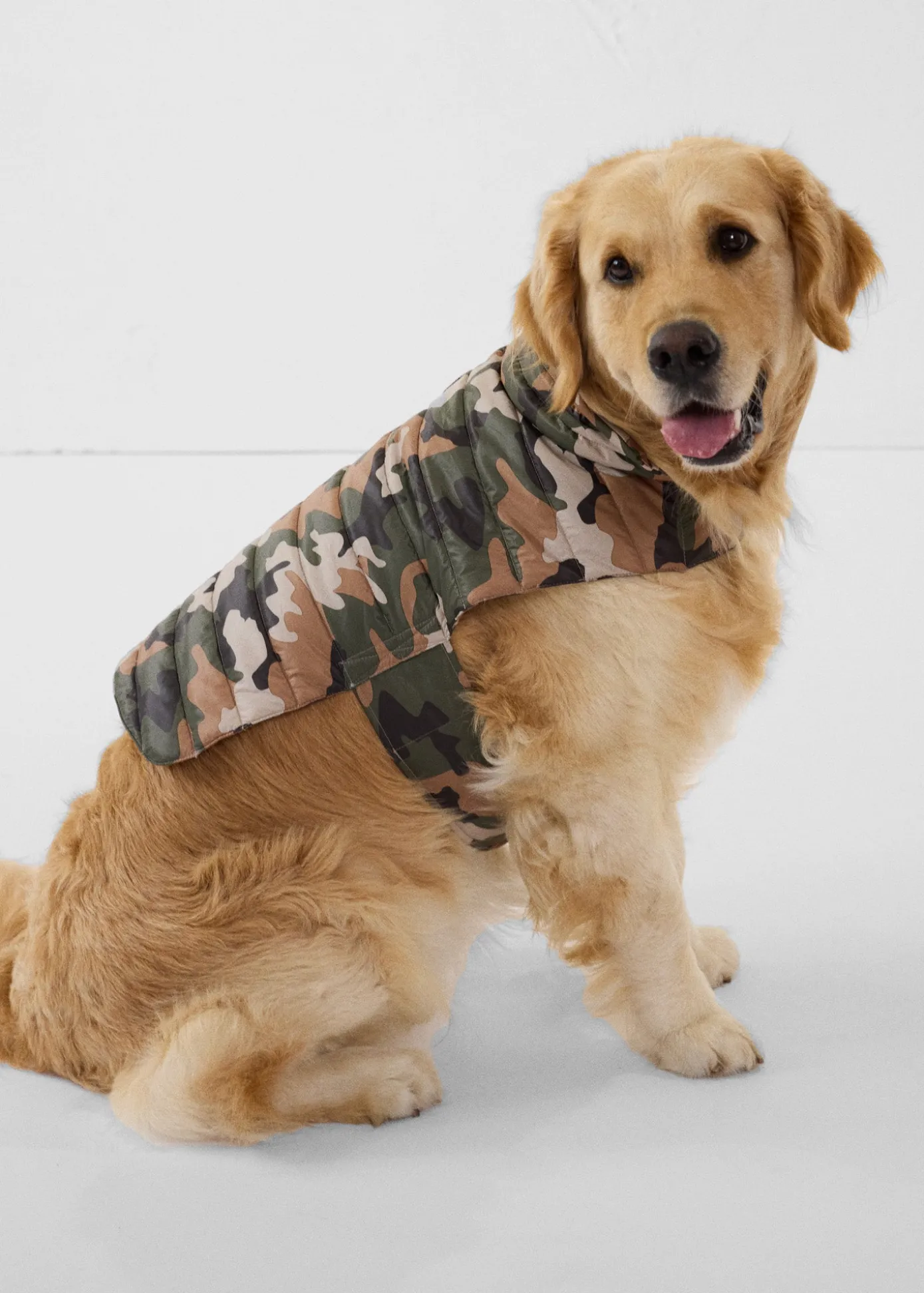 Doudoune pour chien Camo sucre roux Cutie print