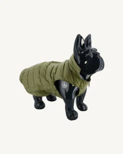 Doudoune pour chien Kaki clair Woop
