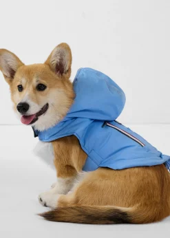 Imperméable pour chien Bleu cristal Balto