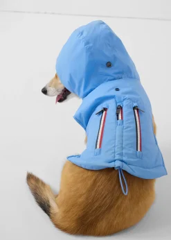 Imperméable pour chien Bleu cristal Balto