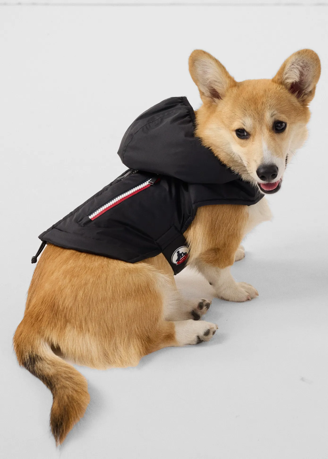Imperméable pour chien Noir Balto