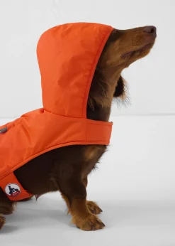 Imperméable pour chien Rouge feu Balto