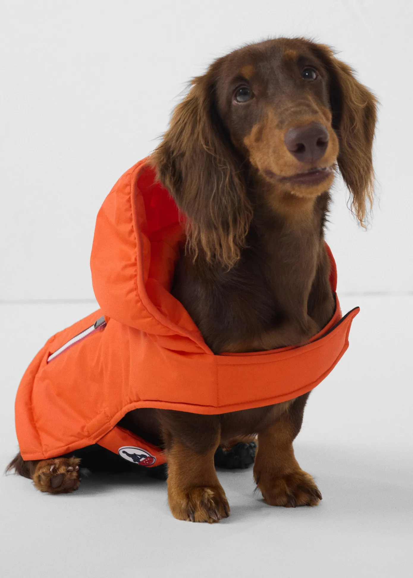 Imperméable pour chien Rouge feu Balto