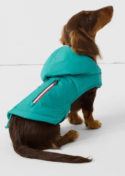 Imperméable pour chien Vert persan Balto