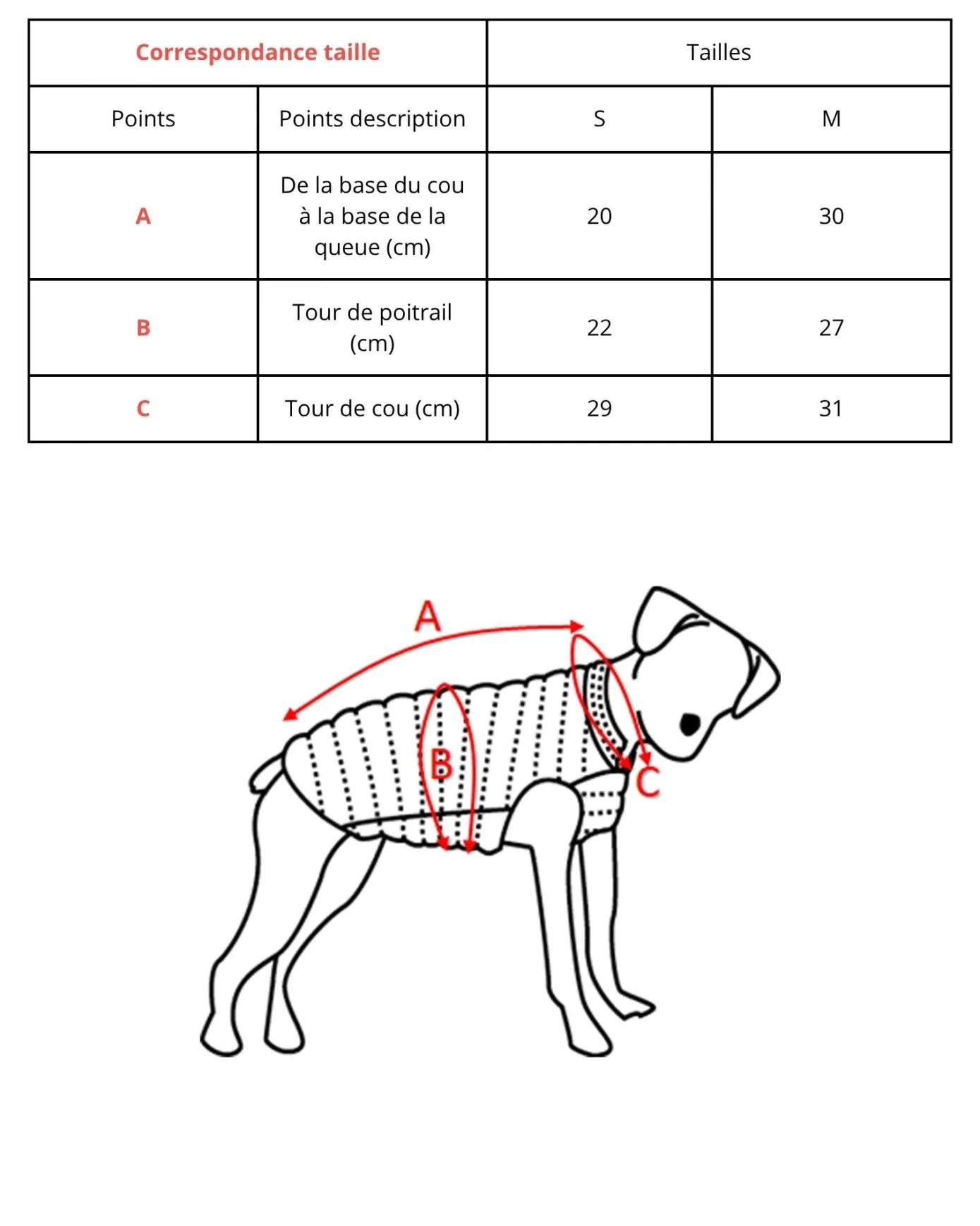 Imperméable pour chien Vert persan Balto