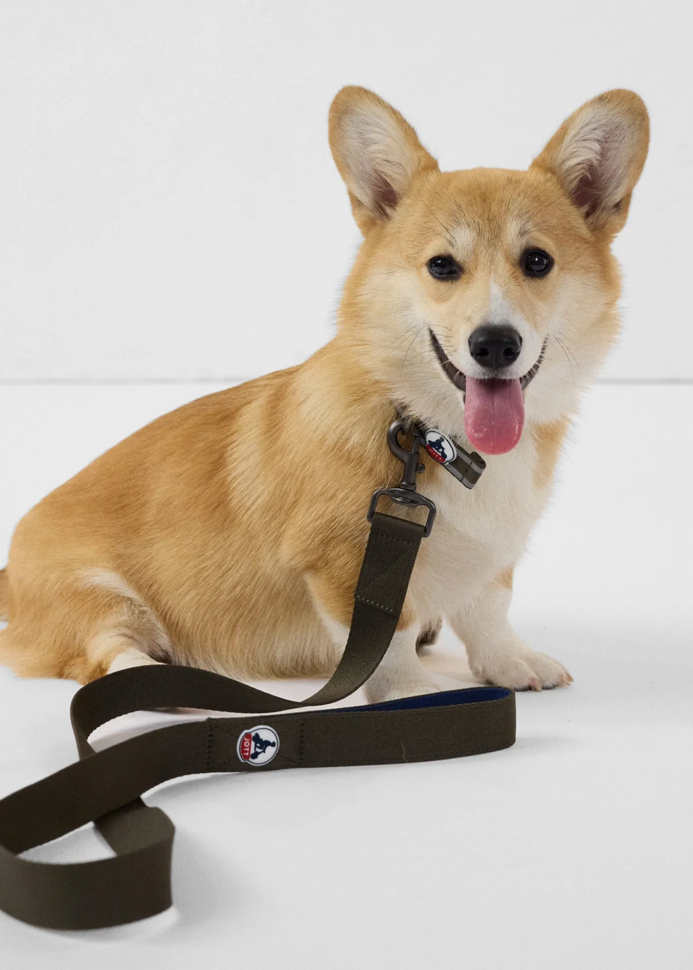 Laisse pour chien Army Max