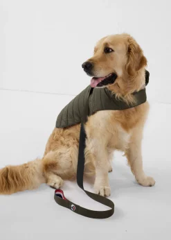 Laisse pour chien Army Max