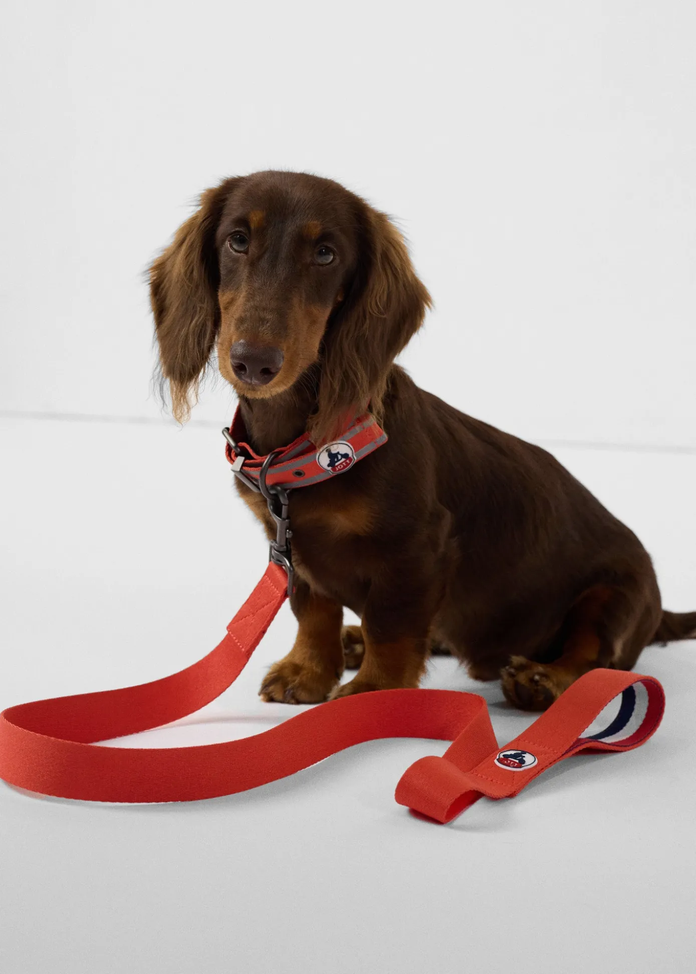 Laisse pour chien Rouge feu Max