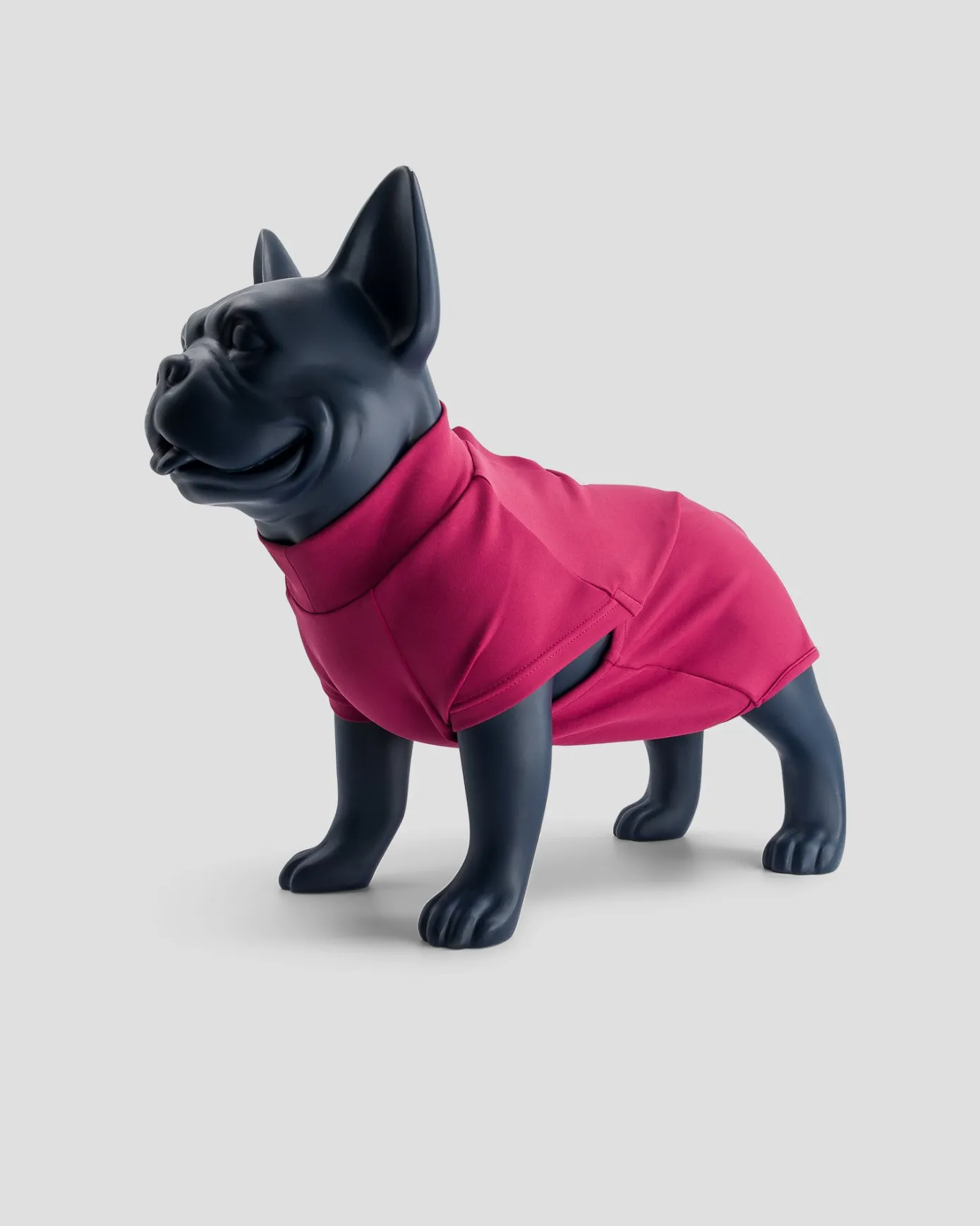 Maillot de bain pour chien Prune Sinbad