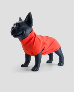 Maillot de bain pour chien Rouge feu Sinbad