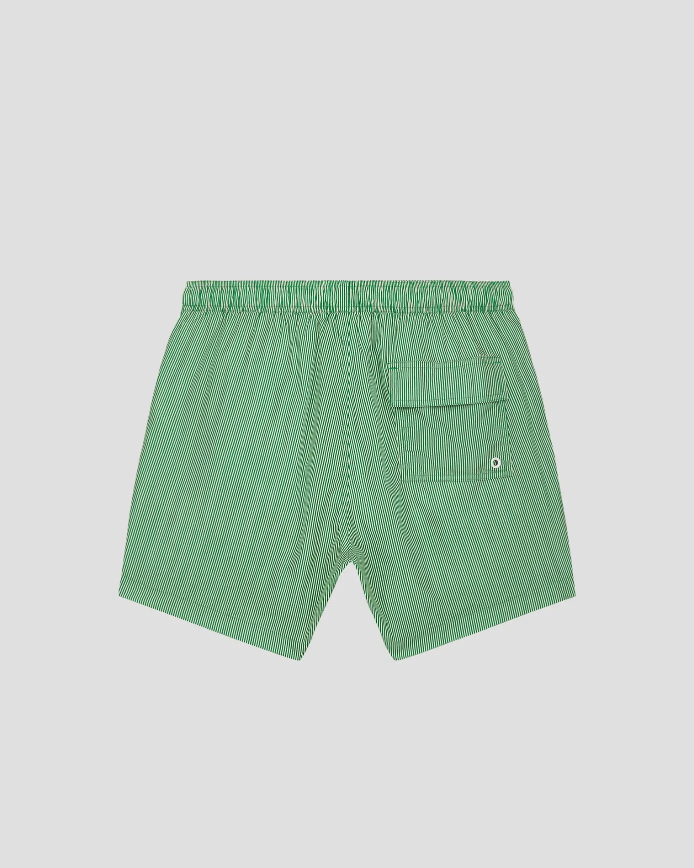 Maillot de bain Vert tropical rayé Ian stripe