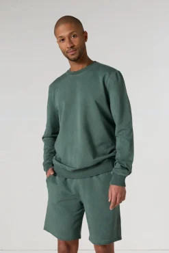 Sweat col rond Vert sauge Sevan